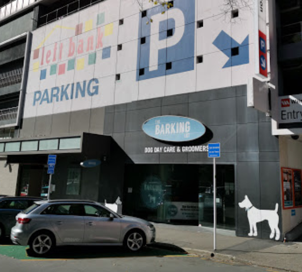 The Barking Lot Wellington's Central Doggie Daycare and Grooming