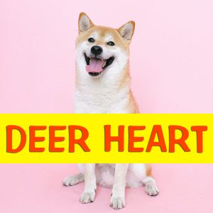 deer heart