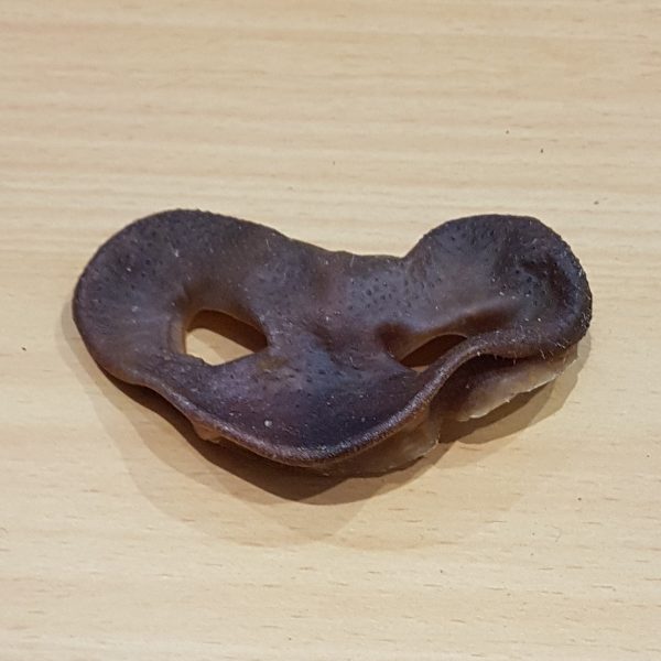 dried pig's snout dog treat