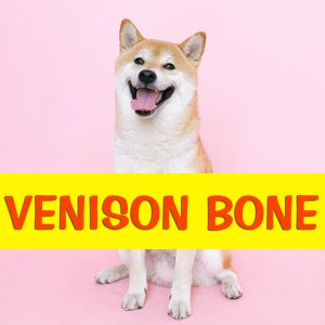 venison bone
